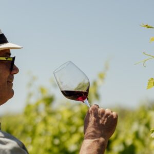 Madame Terre de Vins