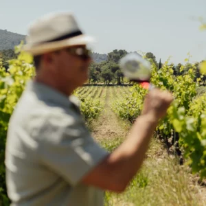 Madame Terre de Vins