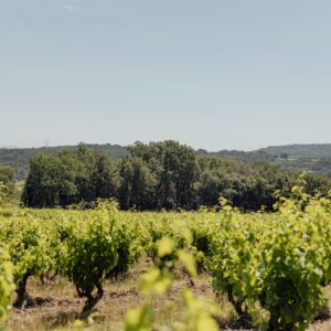 Escapade sur la route des vins du Languedoc - Du 25 au 27 septembre 2026